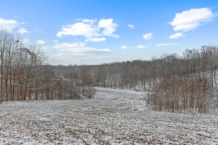 26-0 Waggener Ch-Chalbeate Rd Clay KY 42404_20251203_026.jpg